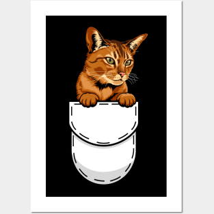 Funny Abyssinian Pocket Cat Posters and Art